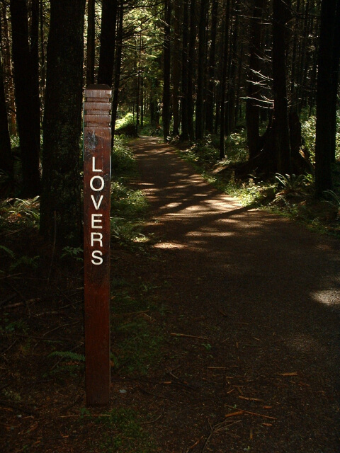 Stanley Park 9th view